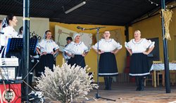 Leopoldovské hody - Folklórne Mestečko, dekoratívna grafika