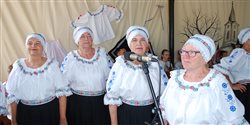 Hody 2024 - Regionálna folklórna prehliadka (dekoratívna grafika)