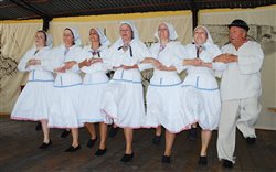 Regionálna prehliadka piesní a tancov Folklórne Mestečko