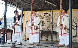 Regionálna prehliadka piesní a tancov Folklórne Mestečko
