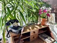 Hodová výstava starých fotografií, dokumentov a predmetov predmetov zberateľa Miloša Jančára