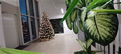 Fotografie z multimediálneho krúžku.