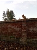 Fotograife z multimediálneho krúžku.