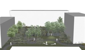 Model projektu