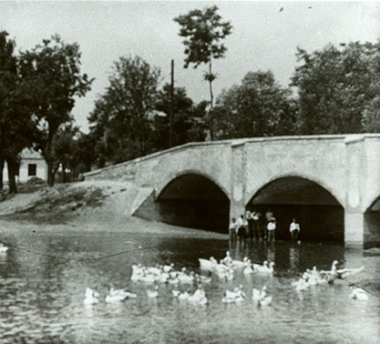 Most na Trolaskoch - historická fotografia - dekoratívna grafika